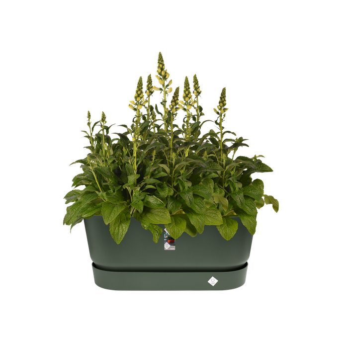 greenville terrace trough 80cm wheels leaf green